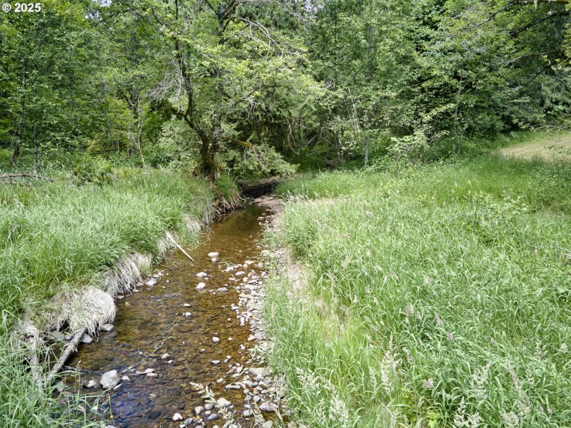 Creek
