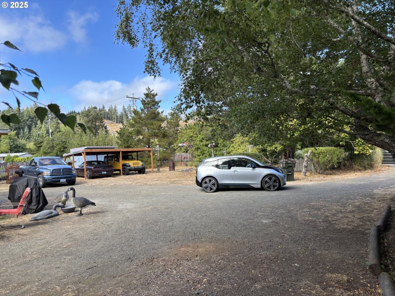 Front Yard