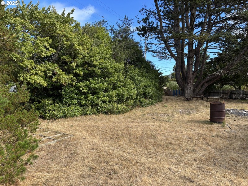 Front Yard