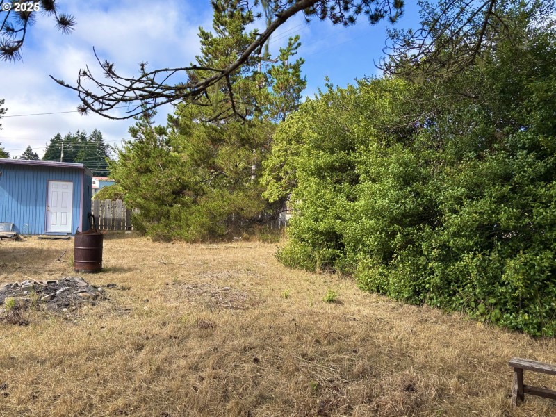 Shed