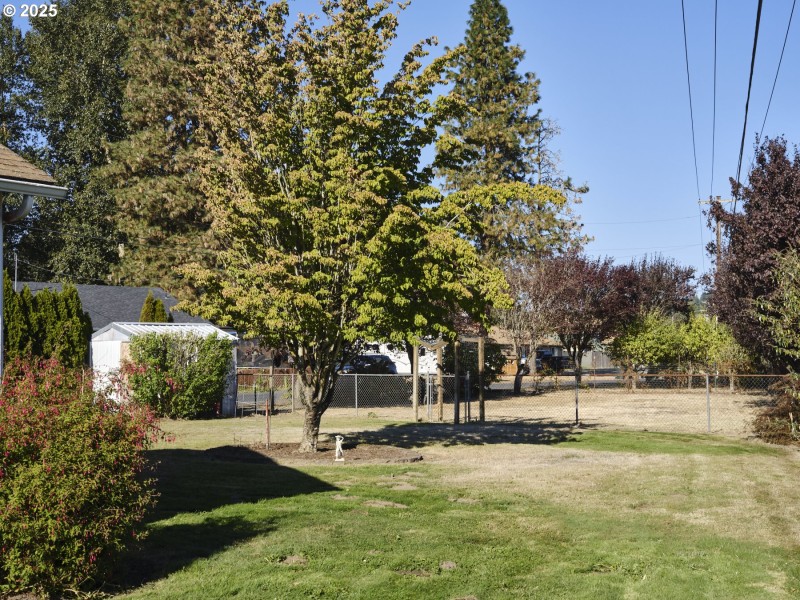 Yard