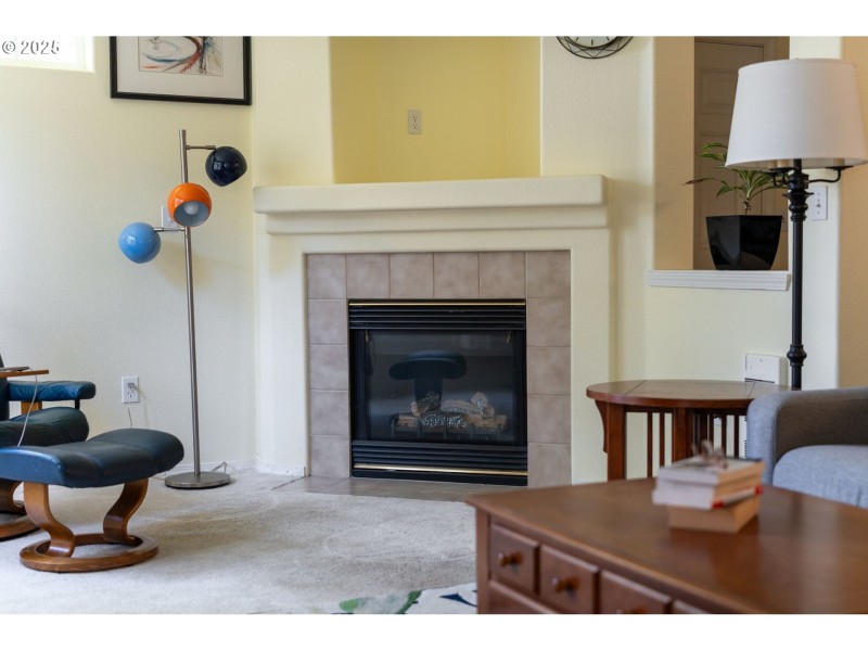 Fireplace Gas