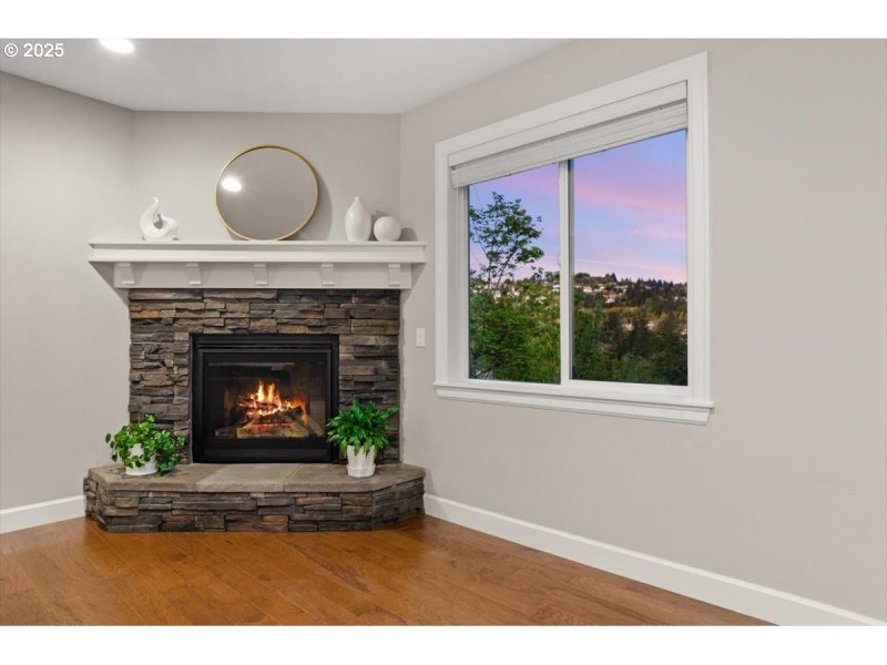 Fireplace Gas