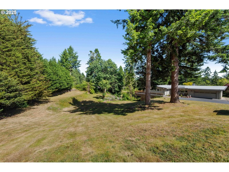 Front Yard