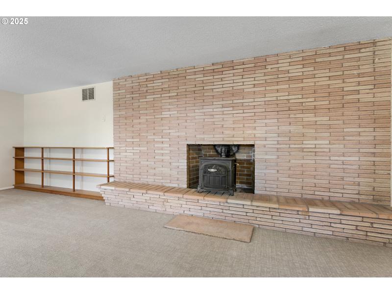 Fireplace Wood Burning Stove/Insert