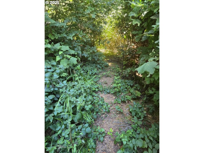 Acreage