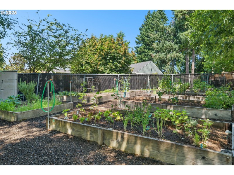 Community Garden