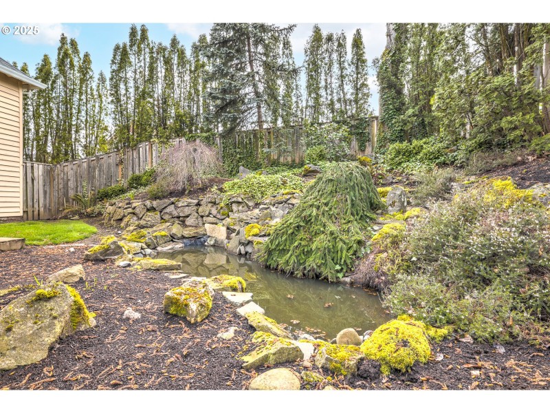 Water Feature
