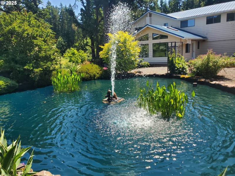 Pond