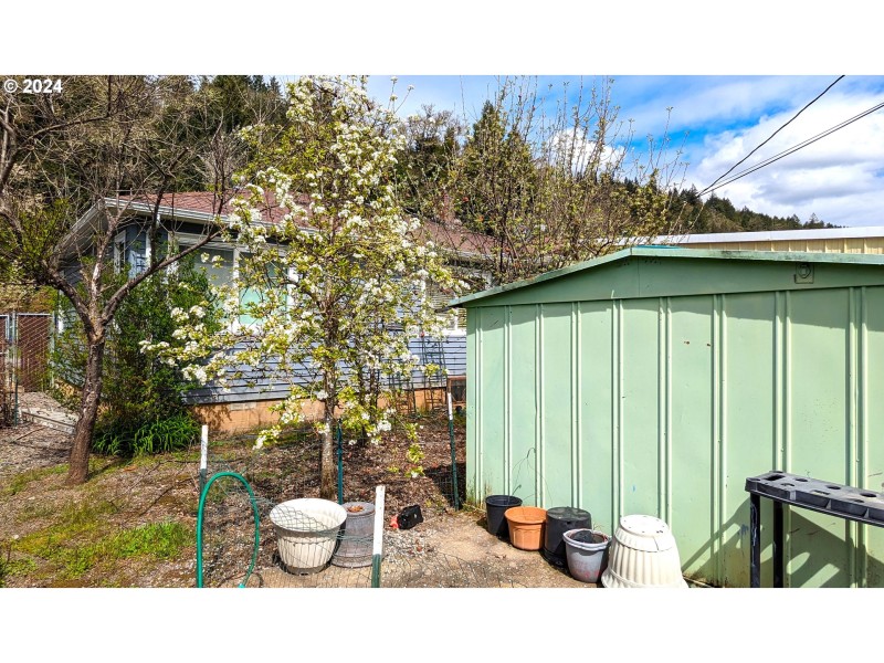 Shed
