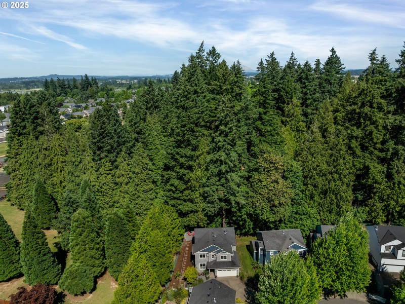 Drone View/UAV