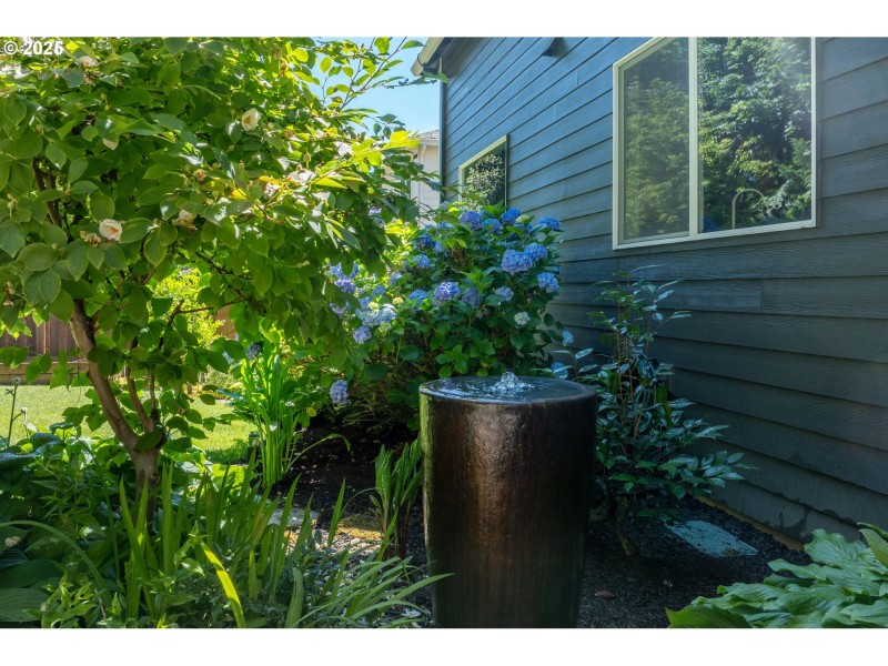 Water Feature