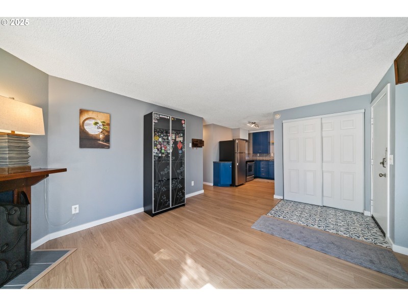 Living Room/Entrance