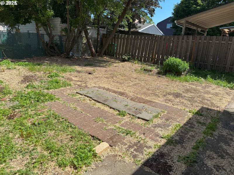 Backyard