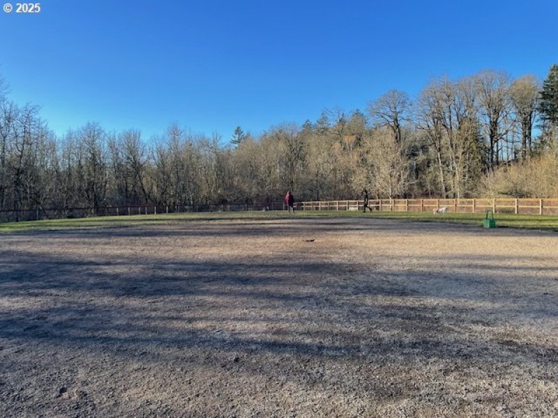 Dog Run