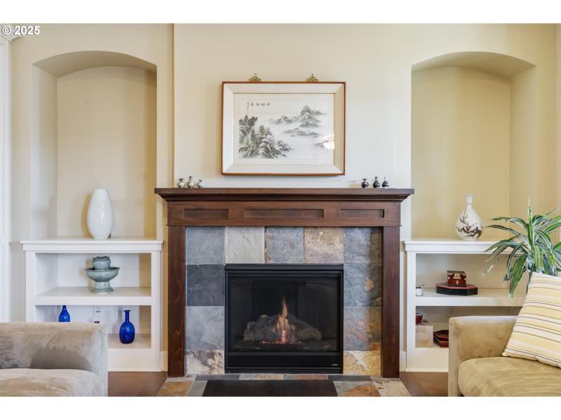 Fireplace Gas