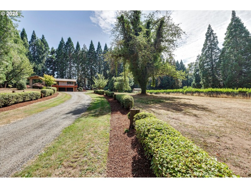 Front Yard