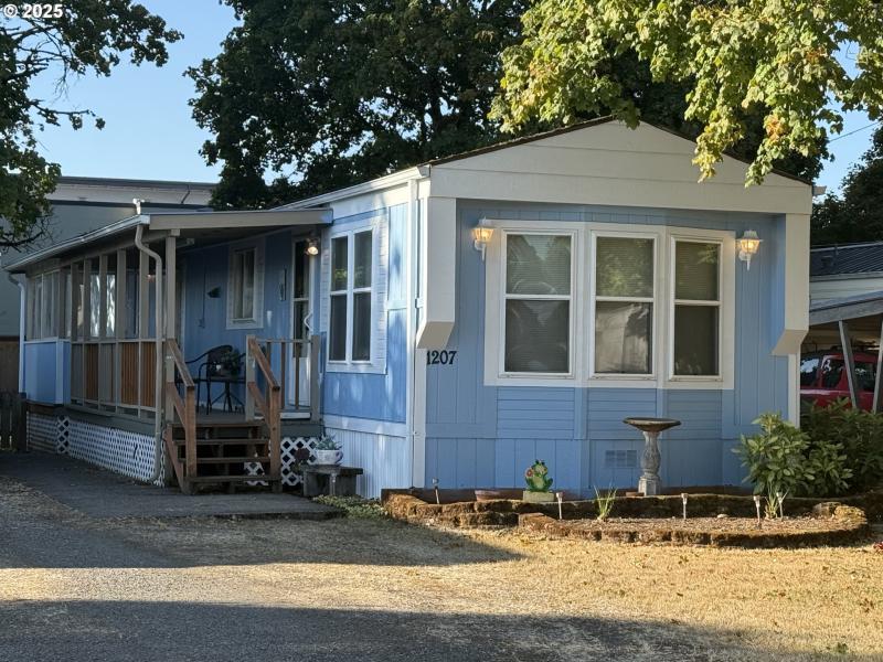 Front Yard