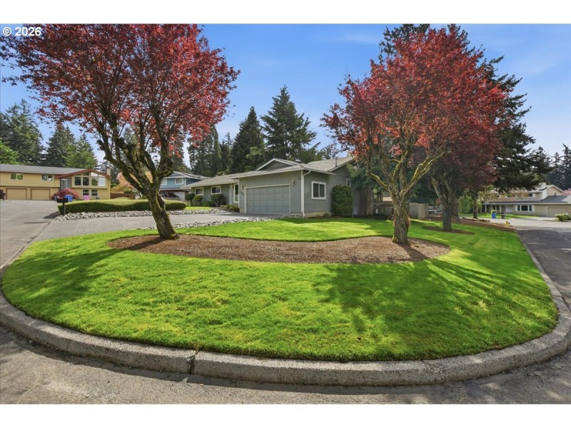 Front Yard