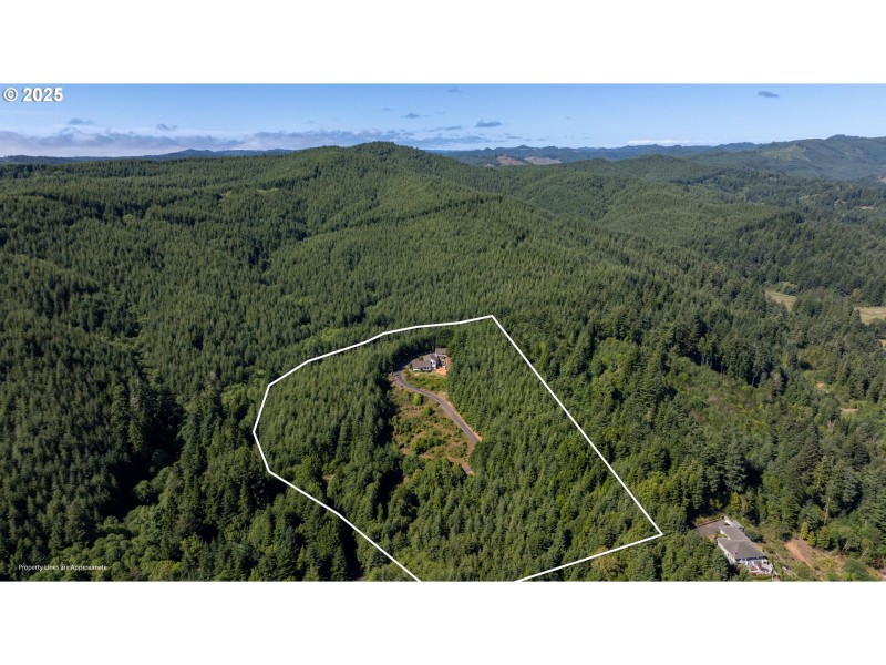 Drone View/UAV