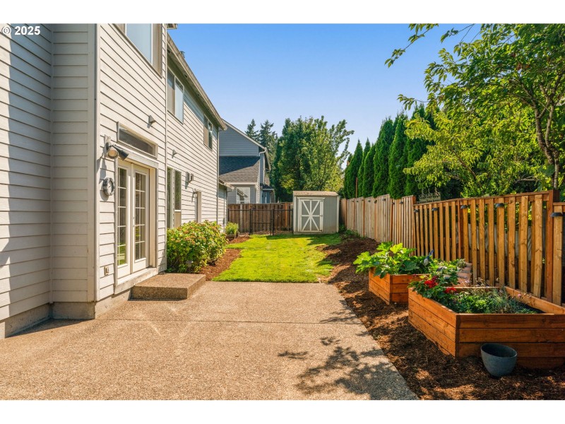 Backyard