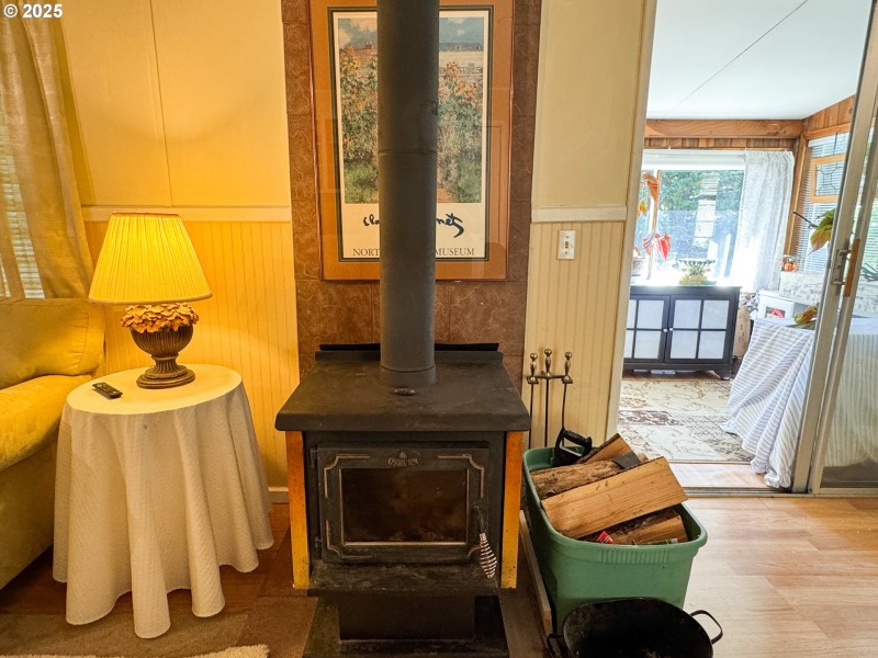 Fireplace Wood Burning Stove/Insert