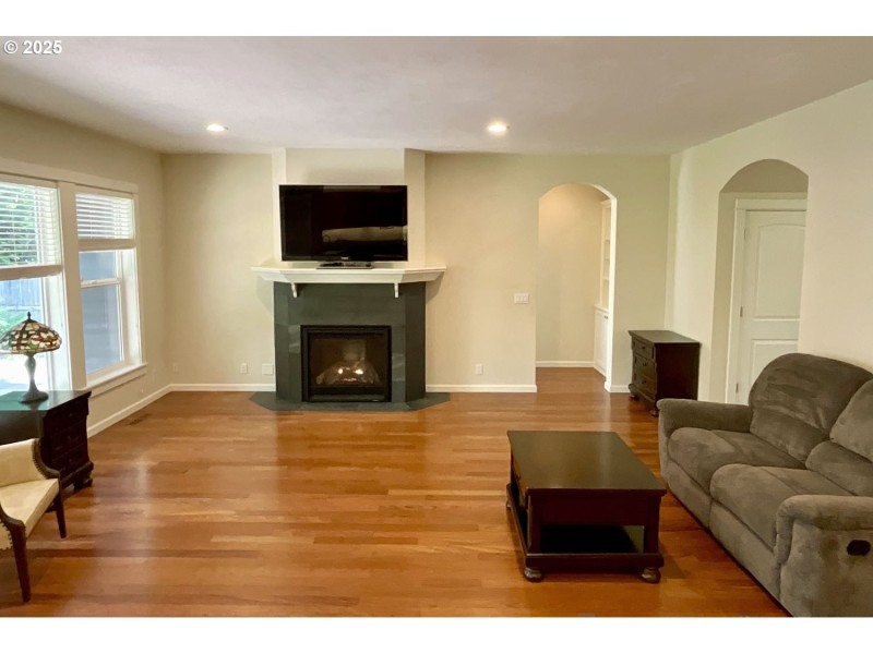 Fireplace Gas