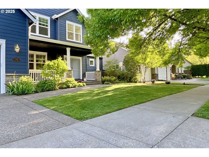 Front Yard