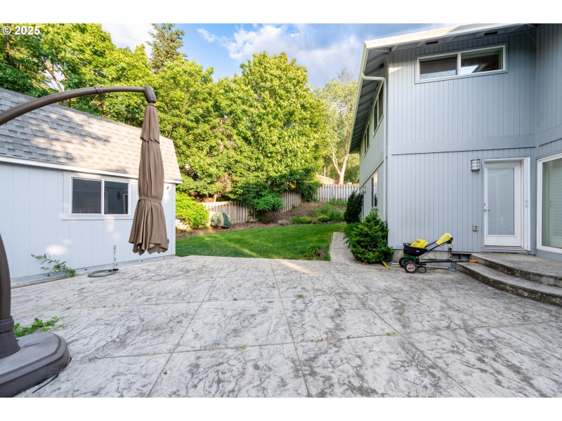Backyard
