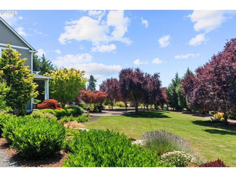 Front Yard
