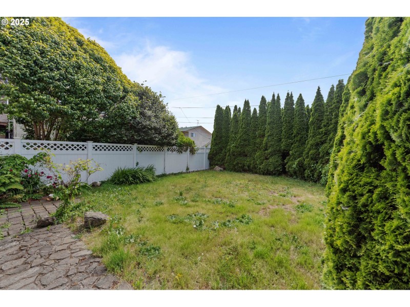Front Yard