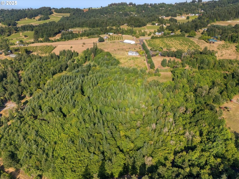 Drone View/UAV