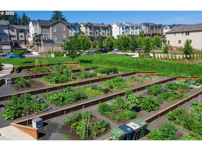 Community Garden