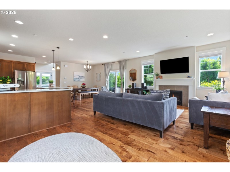 Living Room/Entrance