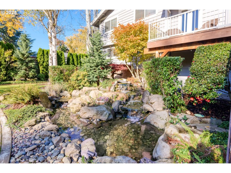 Water Feature