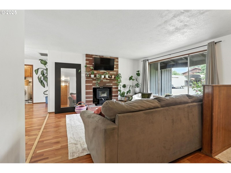 Fireplace Wood Burning Stove/Insert
