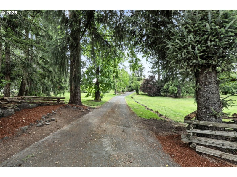 Driveway