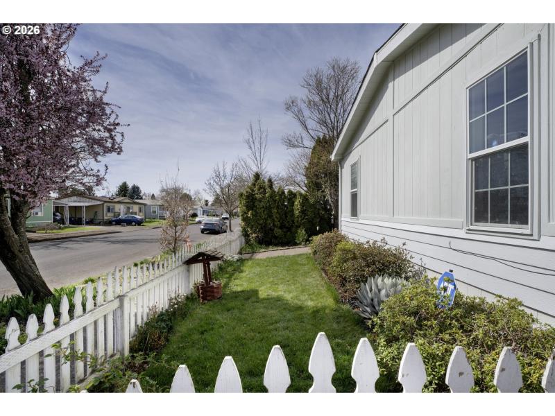 Front Yard