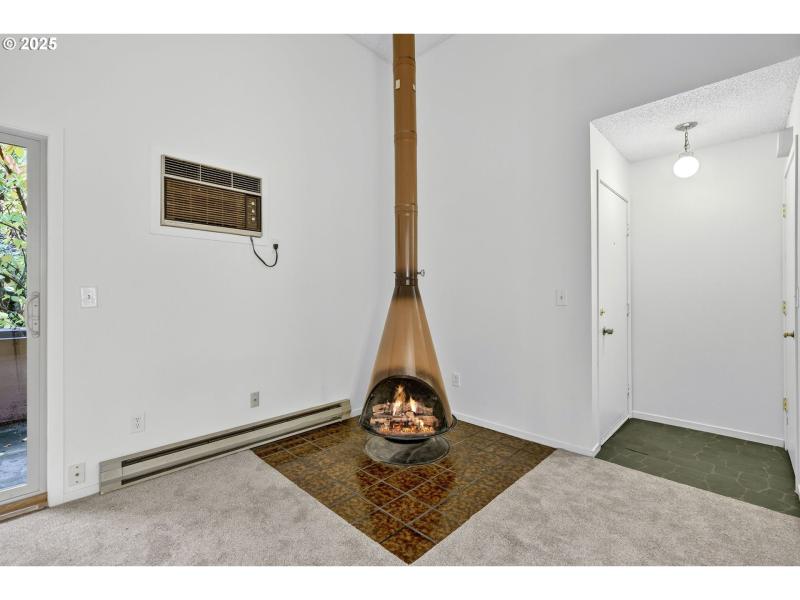 Fireplace Wood Burning Stove/Insert