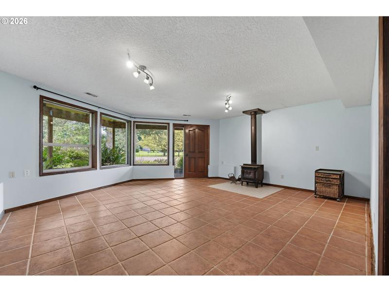 Fireplace Wood Burning Stove/Insert