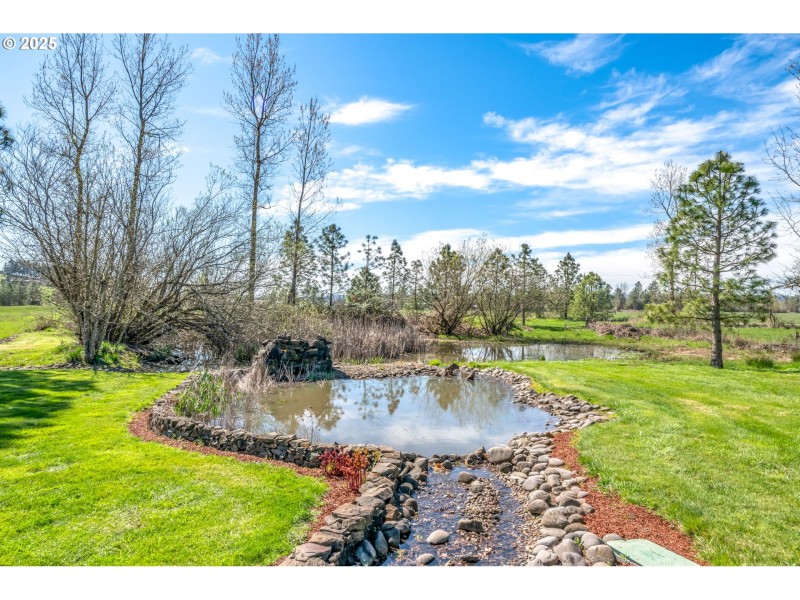 Pond