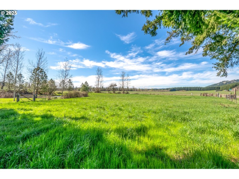 Pasture
