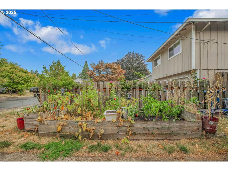Front Yard