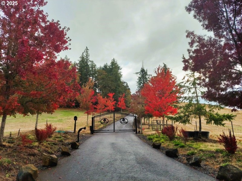 Driveway