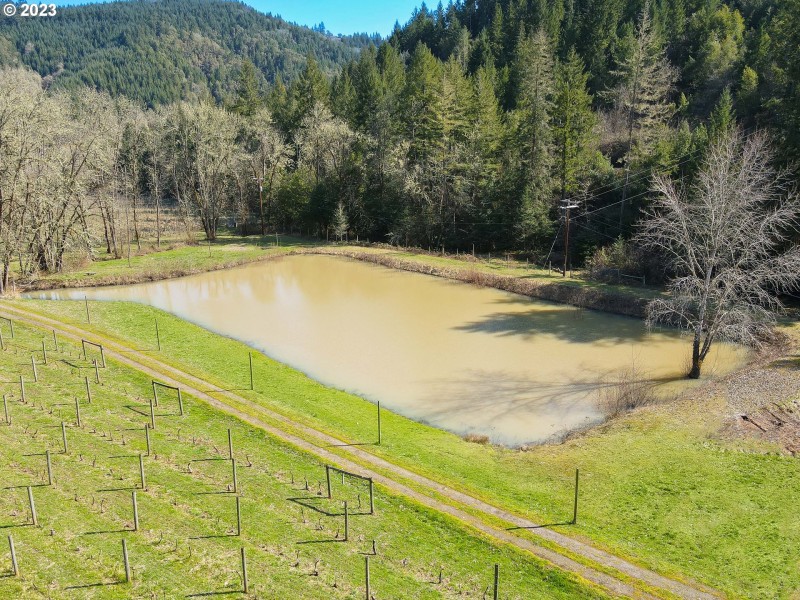 Pond