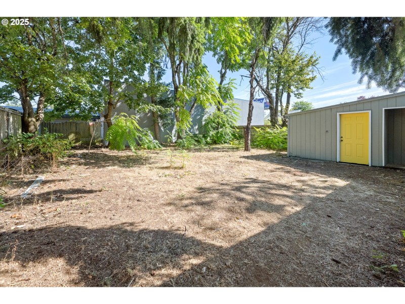Backyard