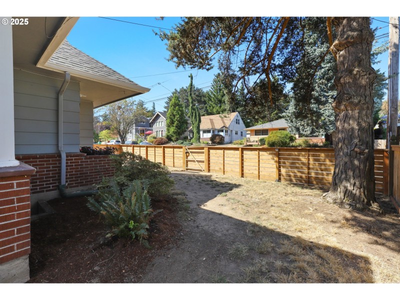 Front Yard