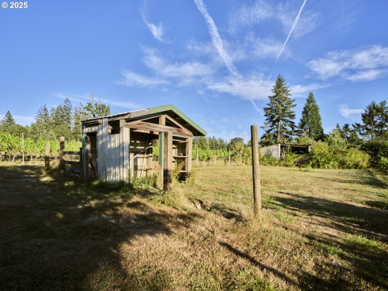 Yard