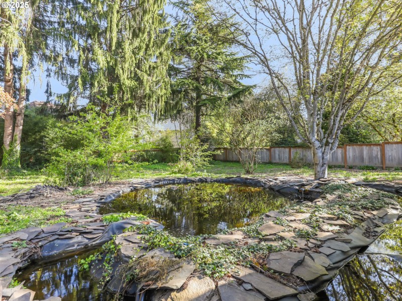 Pond