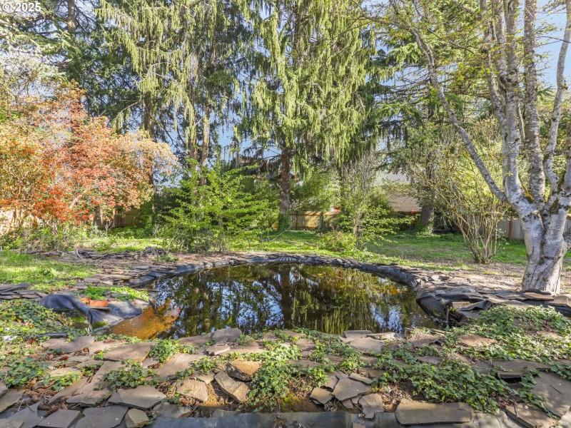 Pond